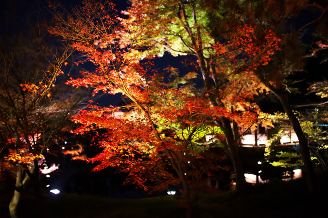 a0263109_11122645.jpg
