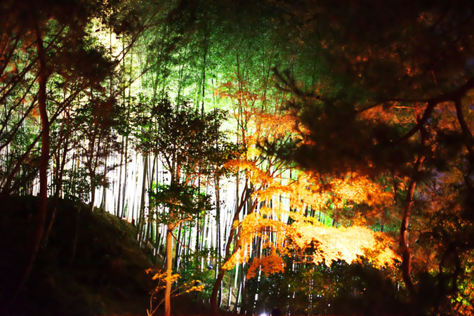 a0263109_11134535.jpg