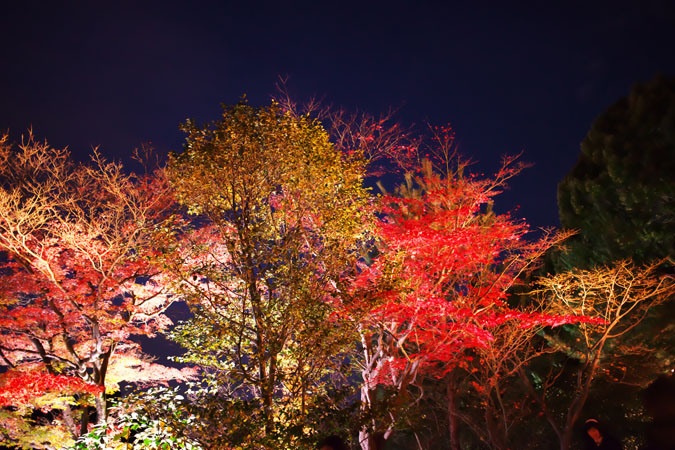 a0263109_11135890.jpg