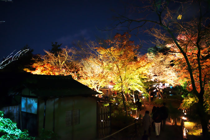 a0263109_11184592.jpg