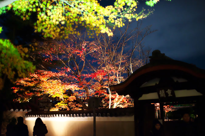 a0263109_11204048.jpg