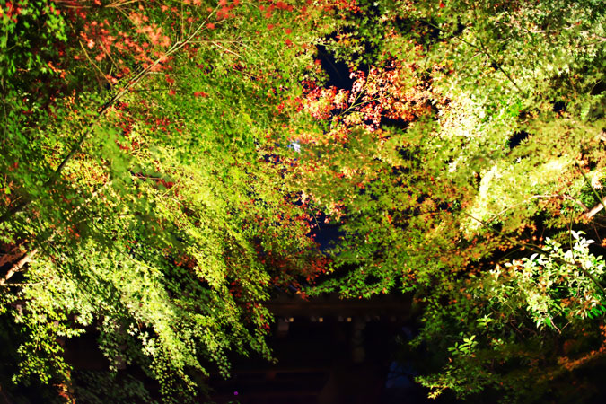 a0263109_11213439.jpg