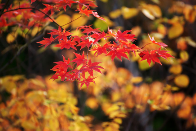 a0263109_20531133.jpg