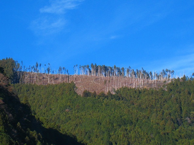 e0002820_08272941.jpg