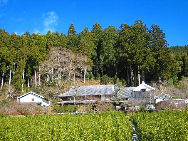 e0002820_08272947.jpg