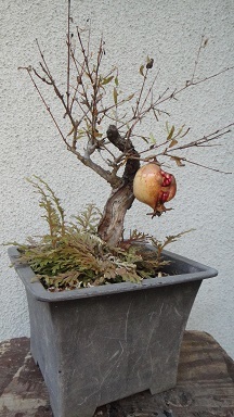f0000521_08441372.jpg