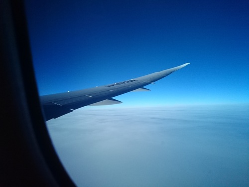 f0128821_22522575.jpg