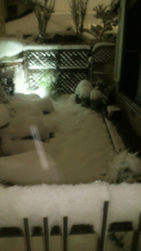 e0024126_16201758.jpg