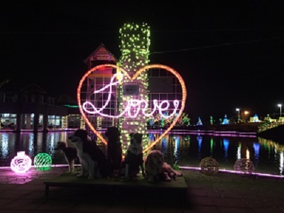 f0176830_14261979.jpg