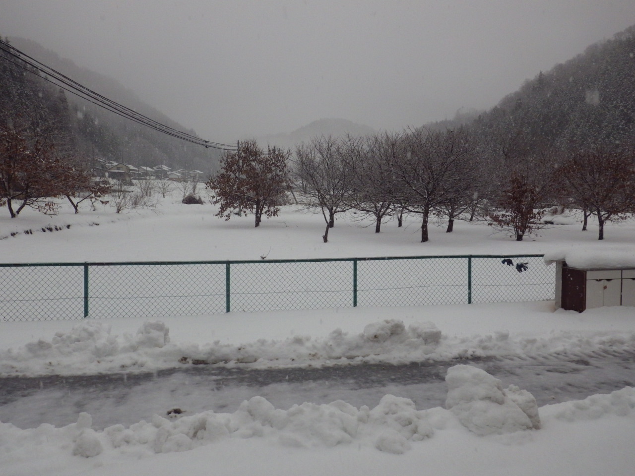 c0300035_8485145.jpg