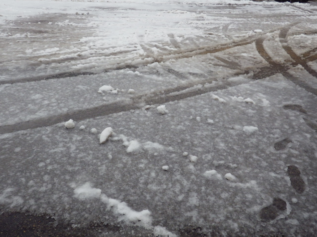 c0300035_8485624.jpg