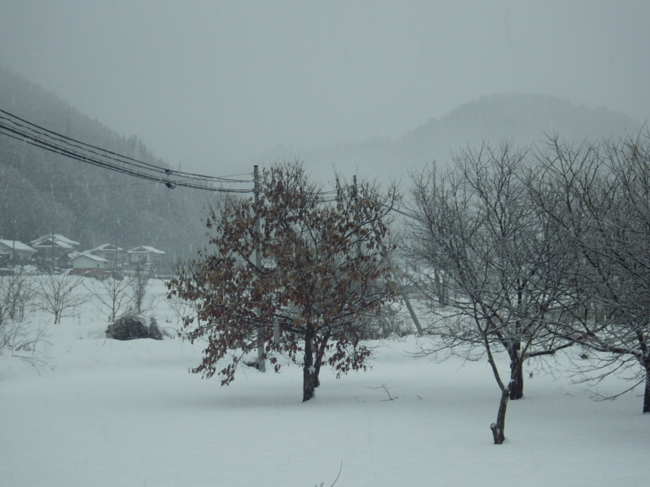 c0300035_849539.jpg