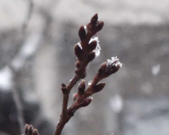 c0184737_201248.jpg