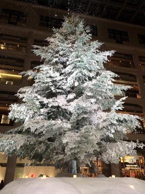 c0155539_1718329.jpg