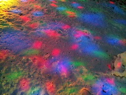 a0272241_1584740.jpg