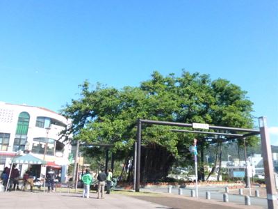 b0220251_656580.jpg