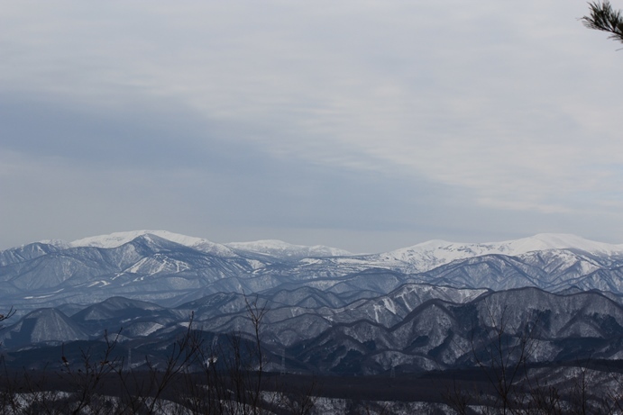e0239458_20221742.jpg