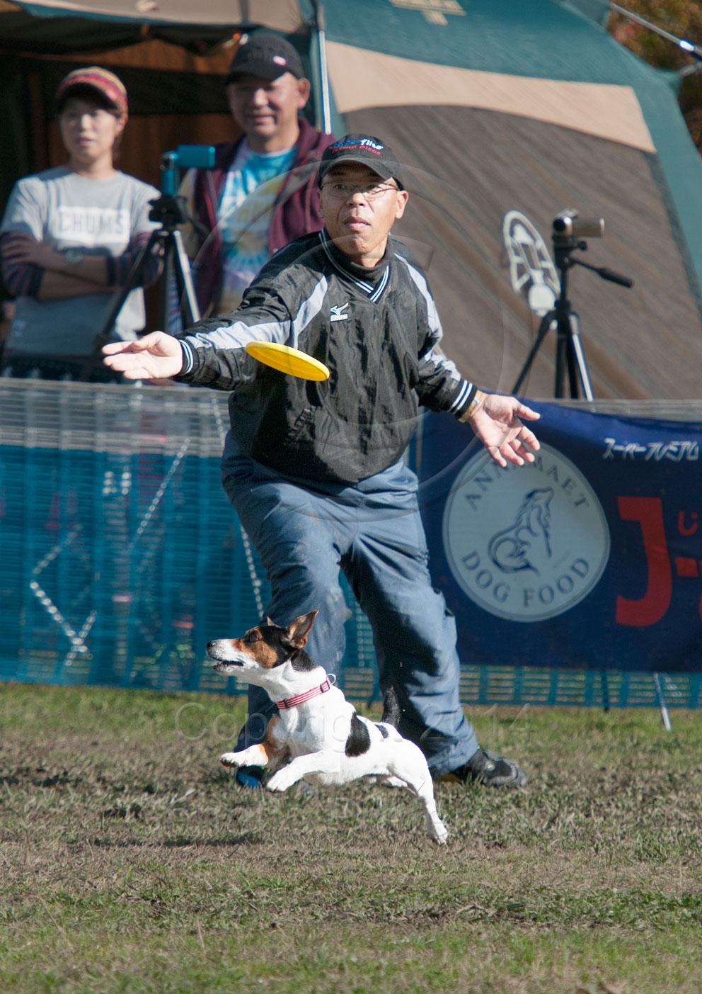 a0111162_1112385.jpg