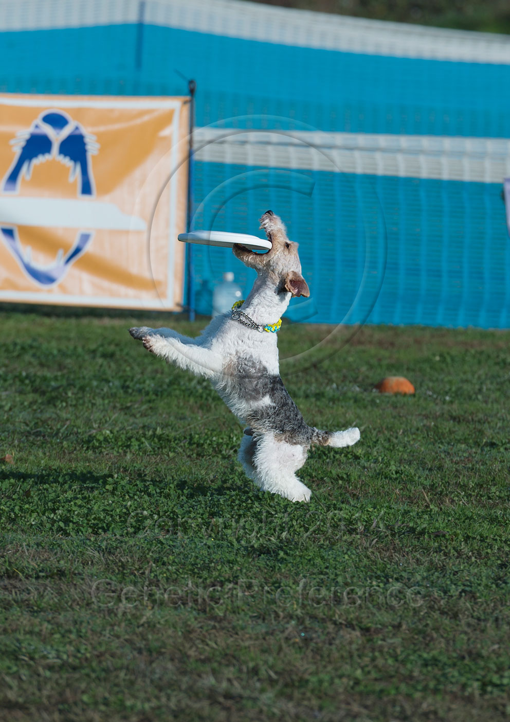 a0111162_11364670.jpg