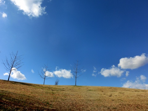 e0045768_22194073.jpg