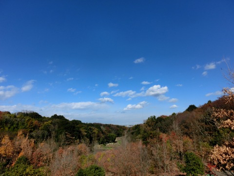 e0045768_22201827.jpg