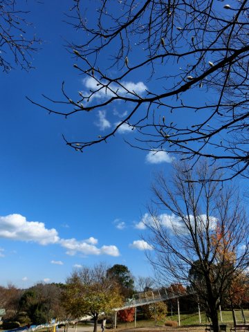 e0045768_22265432.jpg