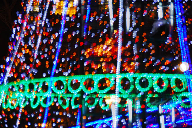 c0094572_7465578.jpg