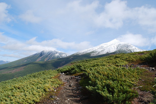 a0133886_1713731.jpg