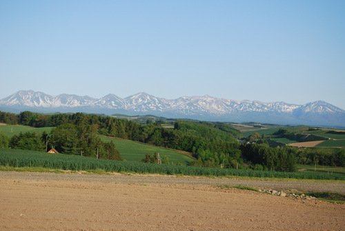 a0133886_1792889.jpg