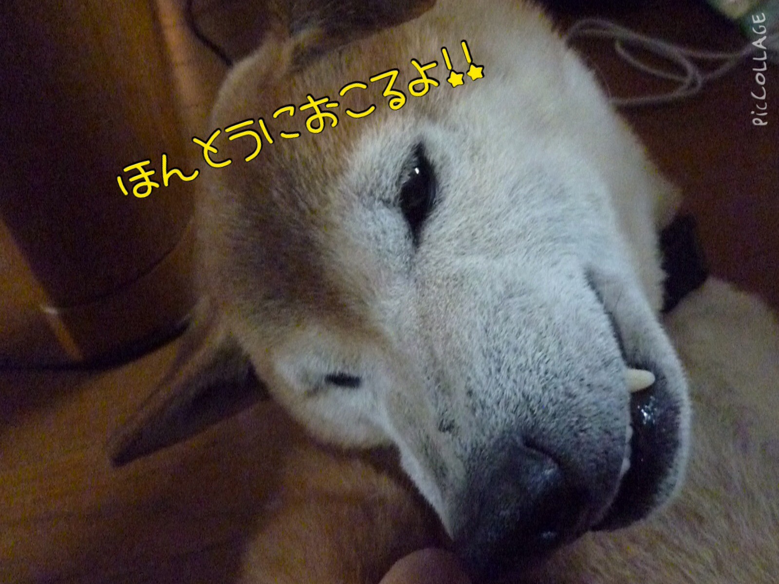 c0123890_20462822.jpg