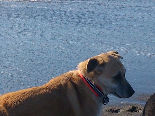 c0337990_11543203.jpg
