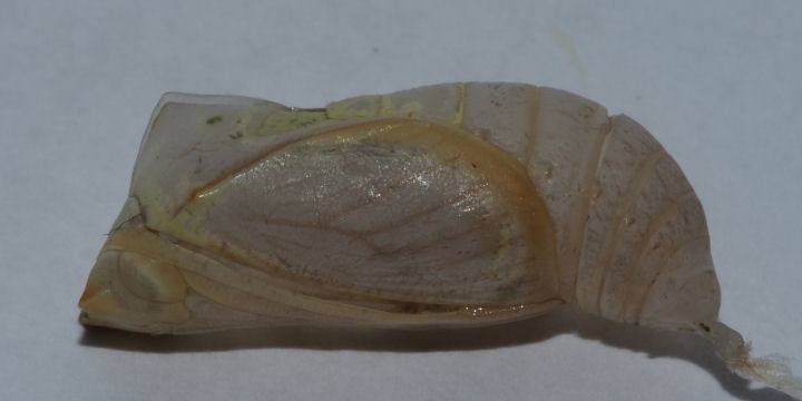 b0194593_1322835.jpg