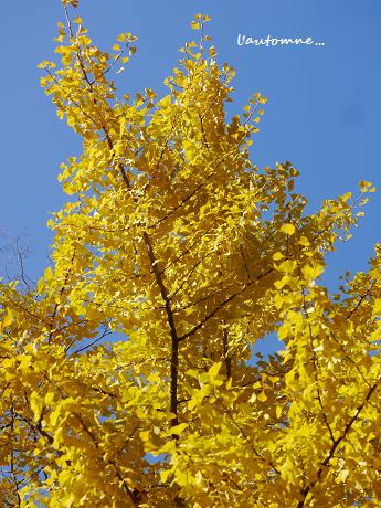 c0098807_20175116.jpg