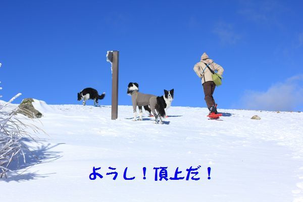 d0224111_12542727.jpg