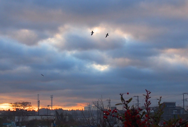 c0248013_16281795.jpg
