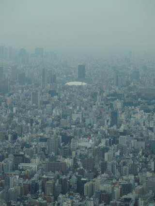 a0114514_19573743.png