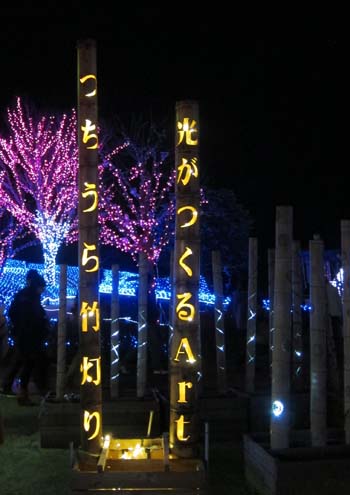 f0147025_20164357.jpg