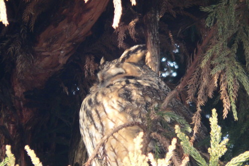 f0118332_22530021.jpg