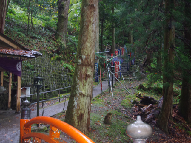 f0008935_15431625.jpg