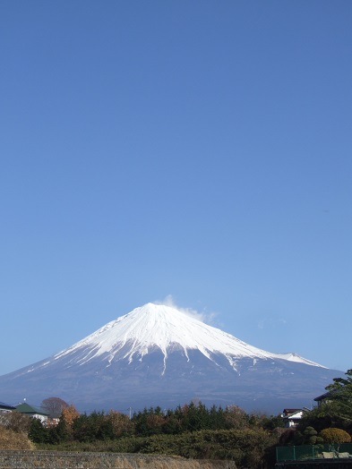 b0089338_14374999.jpg