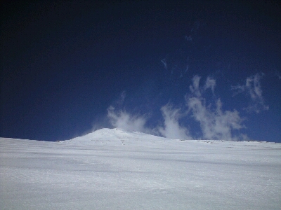 d0107938_1950144.jpg
