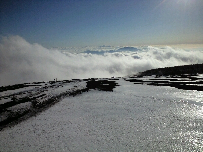 d0107938_19534545.jpg