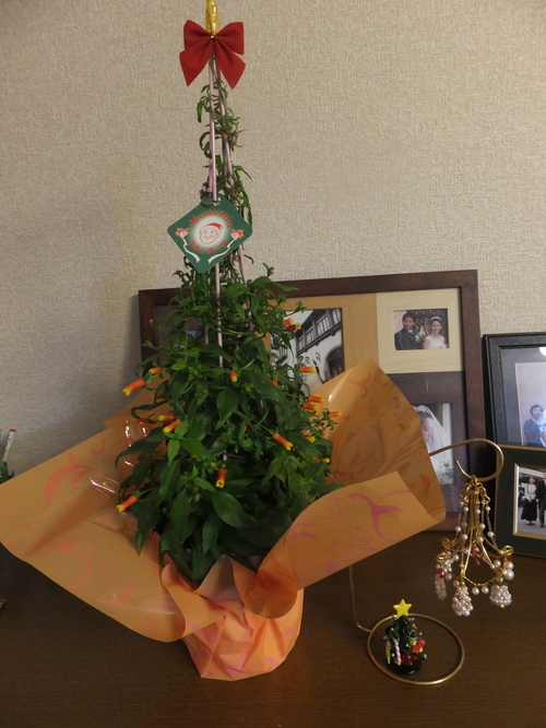 c0122744_131888.jpg