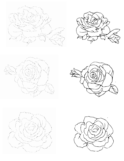 b0232447_17585619.png
