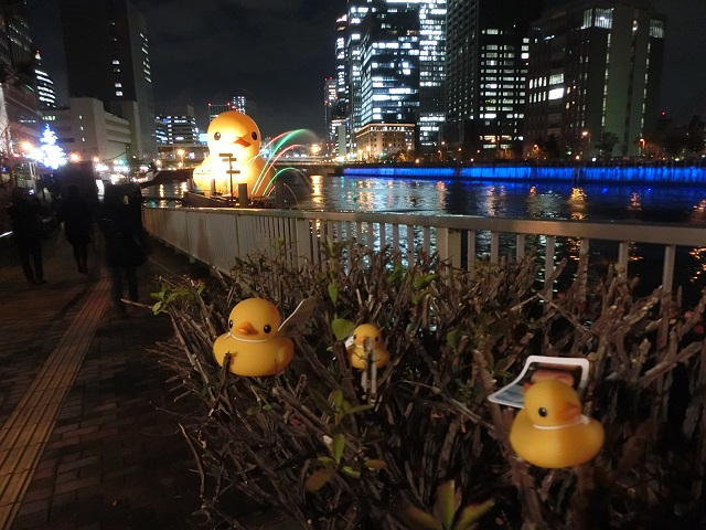 a0237349_713549.jpg