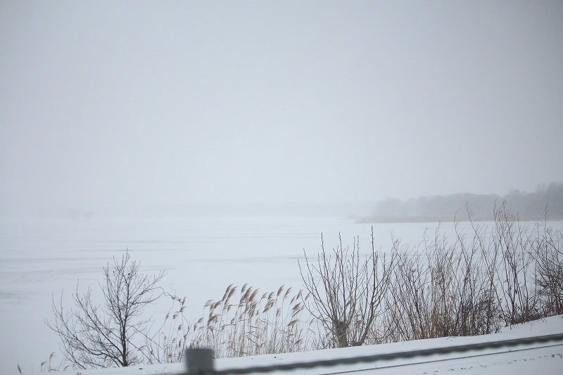 b0250154_20533230.jpg