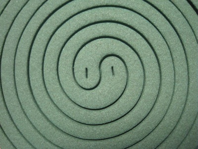 c0172261_946411.jpg
