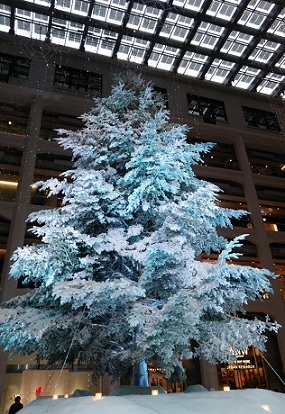 a0264383_16380749.jpg