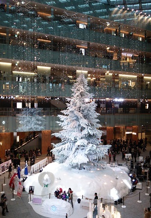 a0264383_16382100.jpg