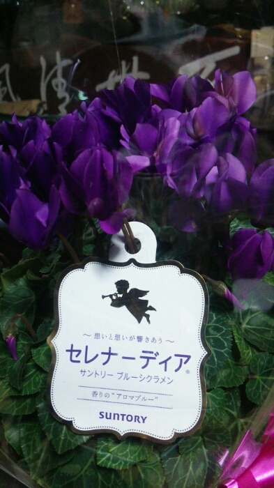 c0348784_15161941.jpg